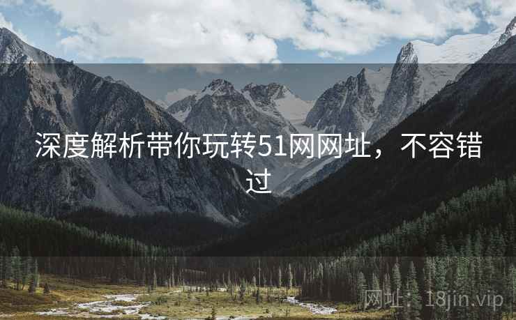 深度解析带你玩转51网网址，不容错过