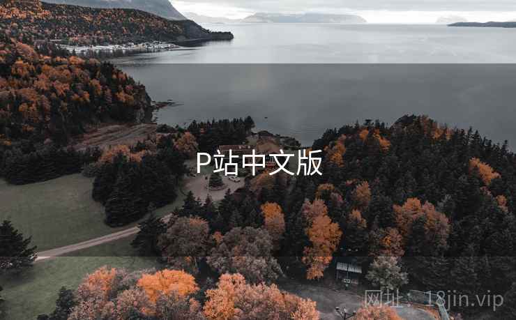 P站中文版