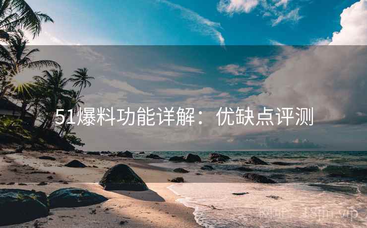 51爆料功能详解：优缺点评测