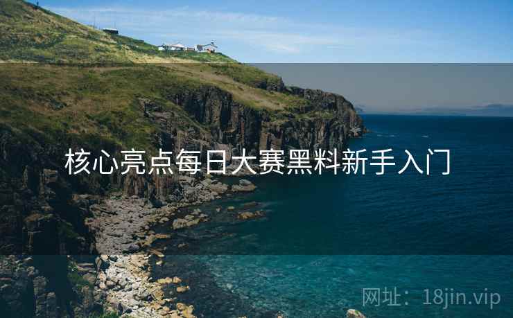 核心亮点每日大赛黑料新手入门