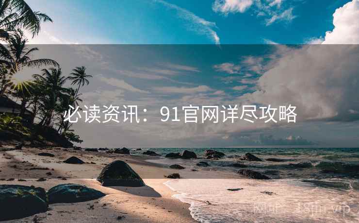 必读资讯：91官网详尽攻略