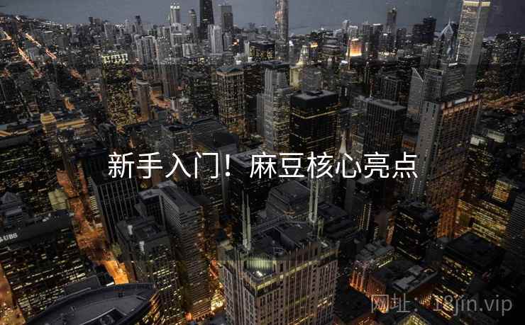 新手入门！麻豆核心亮点