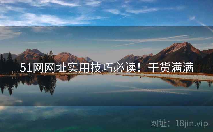 51网网址实用技巧必读！干货满满