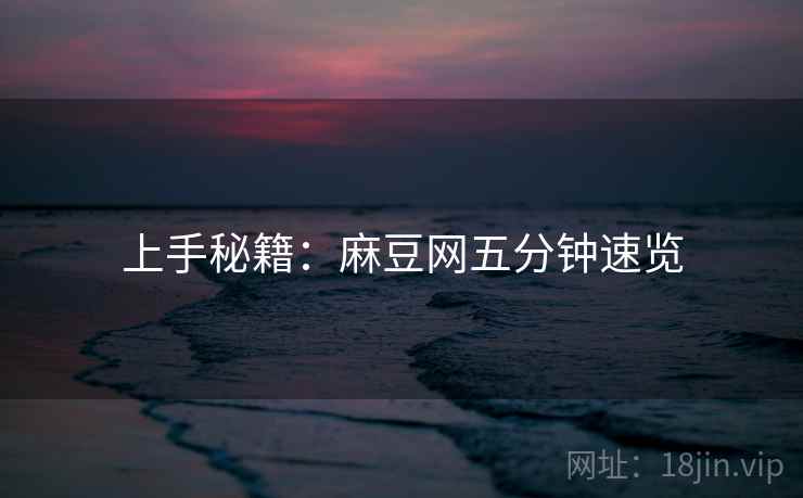 上手秘籍：麻豆网五分钟速览