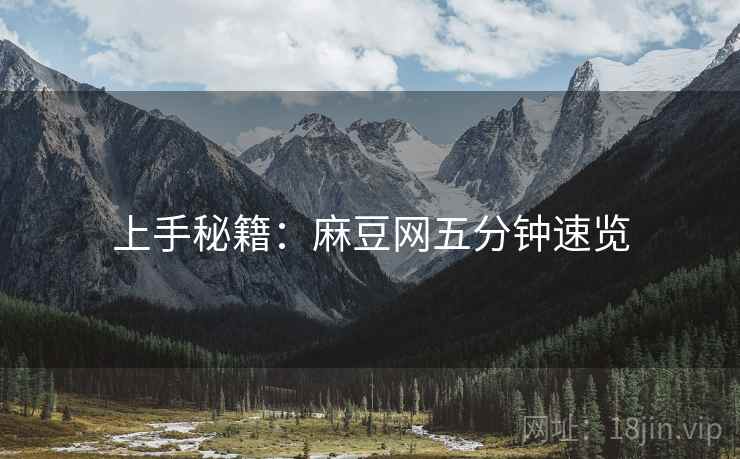 上手秘籍：麻豆网五分钟速览