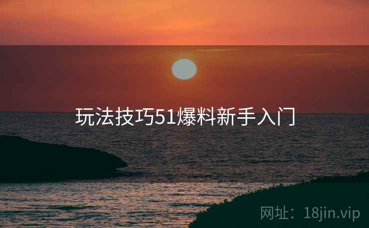 玩法技巧51爆料新手入门
