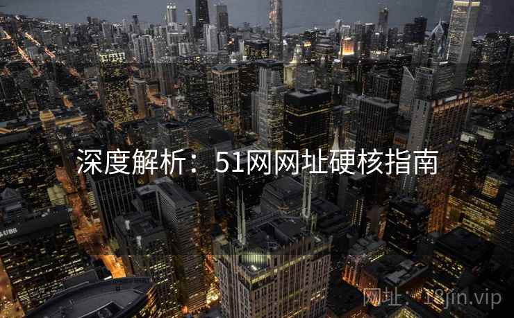 深度解析：51网网址硬核指南
