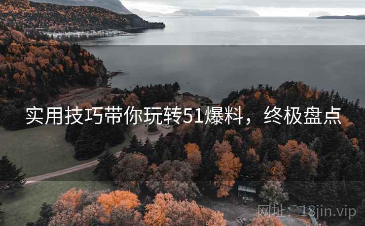 实用技巧带你玩转51爆料，终极盘点