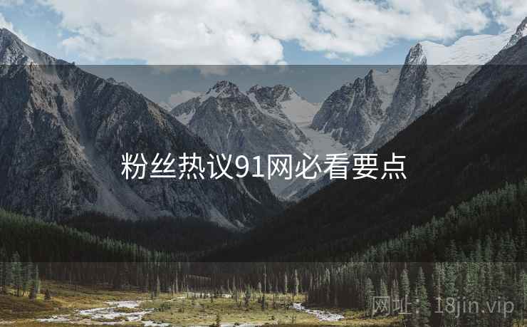 粉丝热议91网必看要点