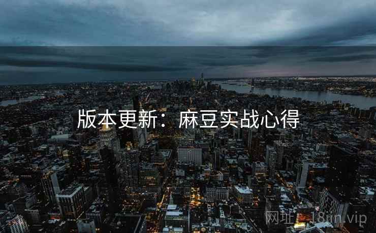 版本更新：麻豆实战心得