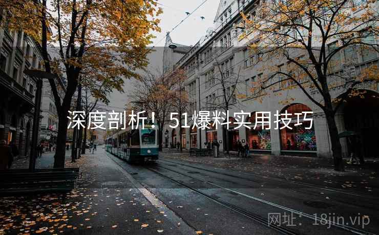 深度剖析！51爆料实用技巧