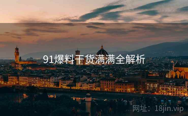 91爆料干货满满全解析