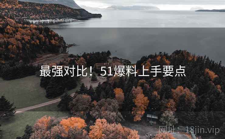 最强对比！51爆料上手要点