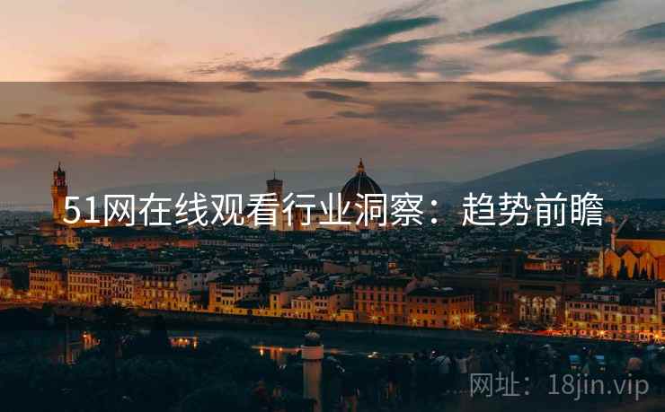 51网在线观看行业洞察：趋势前瞻